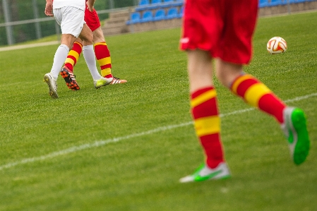 Grass shoe plant sport Photo