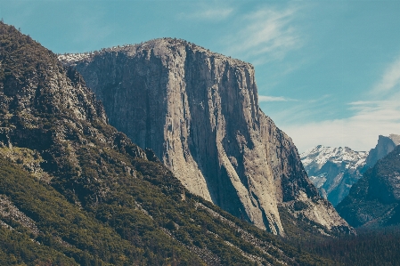 Landscape tree forest rock Photo