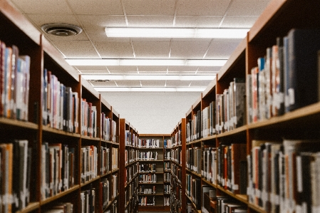 Book light building shelf Photo