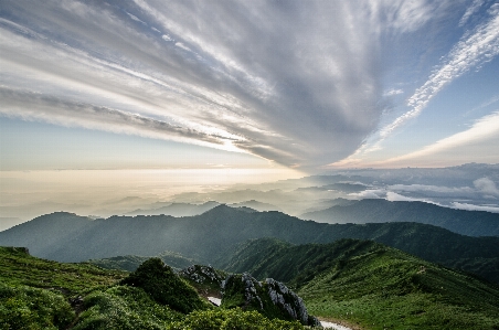 風景 木 自然 森 写真