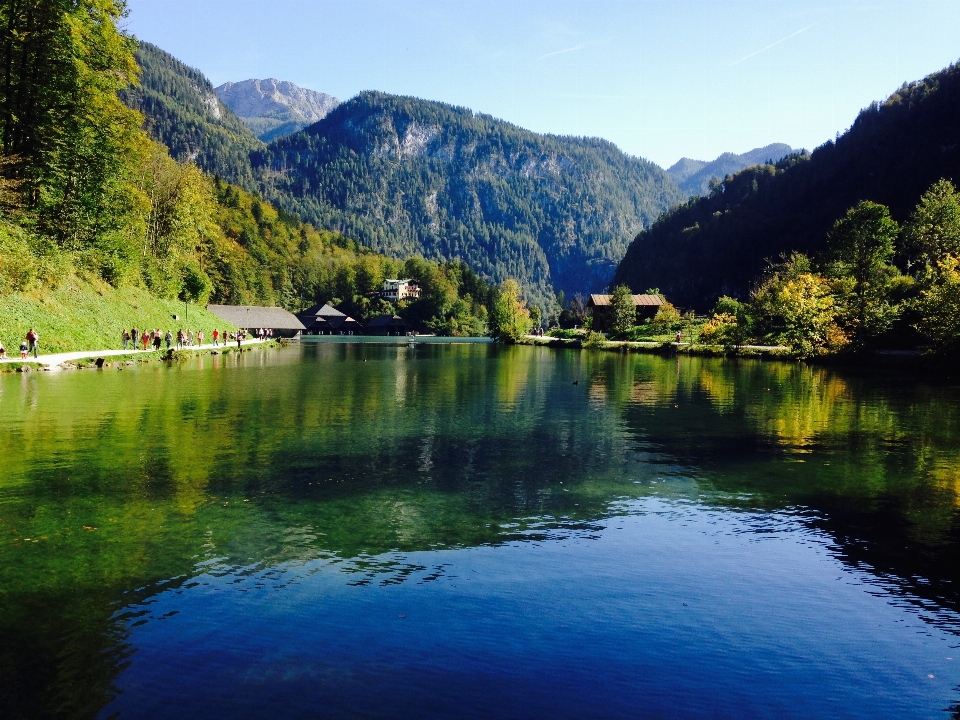 пейзаж дерево вода природа