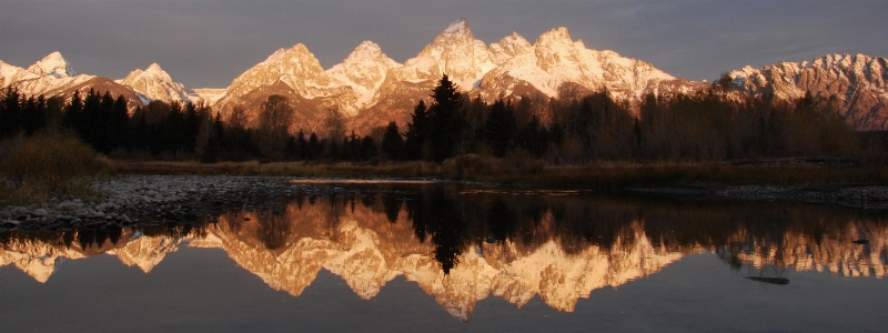 風景 木 水 自然 写真