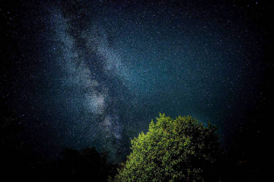 Krajobraz drzewo natura niebo