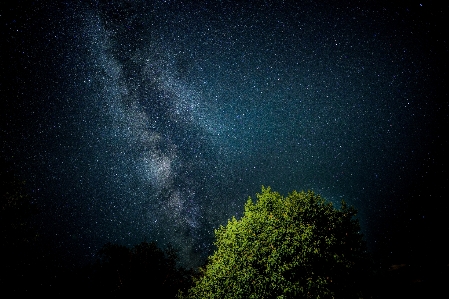 風景 木 自然 空 写真