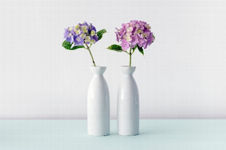 Flower purple vase cool image Photo