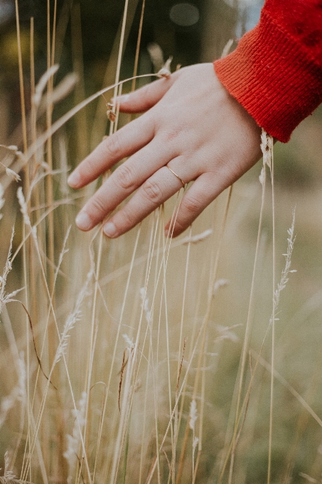 Hand gras mädchen ring