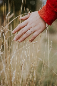 Hand grass girl ring Photo