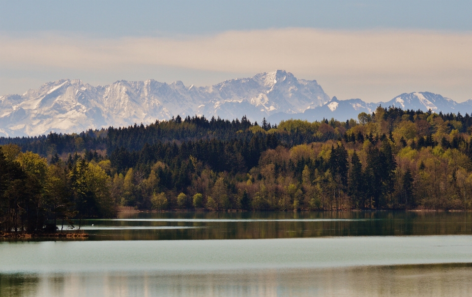 Paysage arbre eau nature