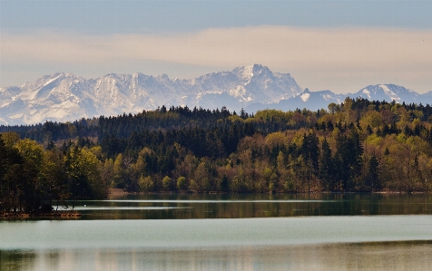 Foto Paisagem árvore água natureza