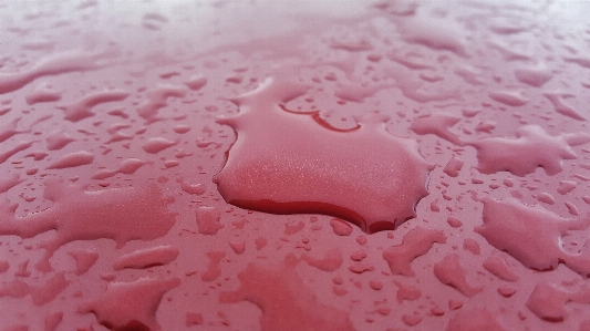 Foto Acqua gocciolare rugiada piovere