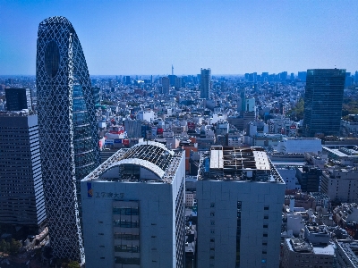 木 建築 空 スカイライン 写真