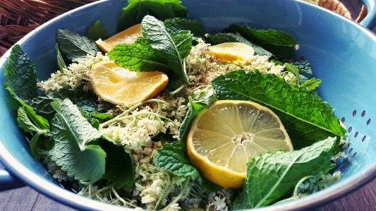 Laub gericht essen salat Foto