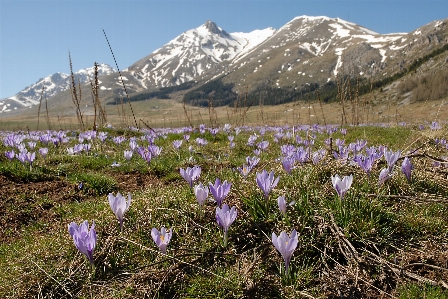 Zdjęcie Krajobraz natura na wolnym powietrzu pustynia
