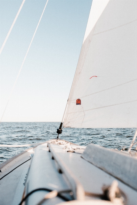 Velejar navegação mar barco a vela