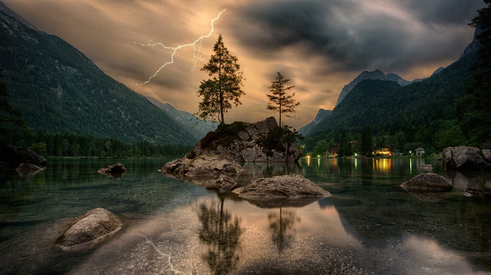 風景 木 水 自然