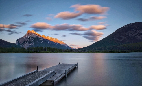 Landscape tree water nature Photo