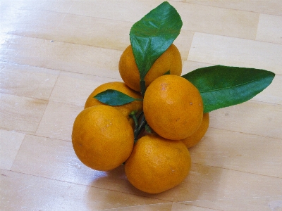 Fruit orange food produce Photo