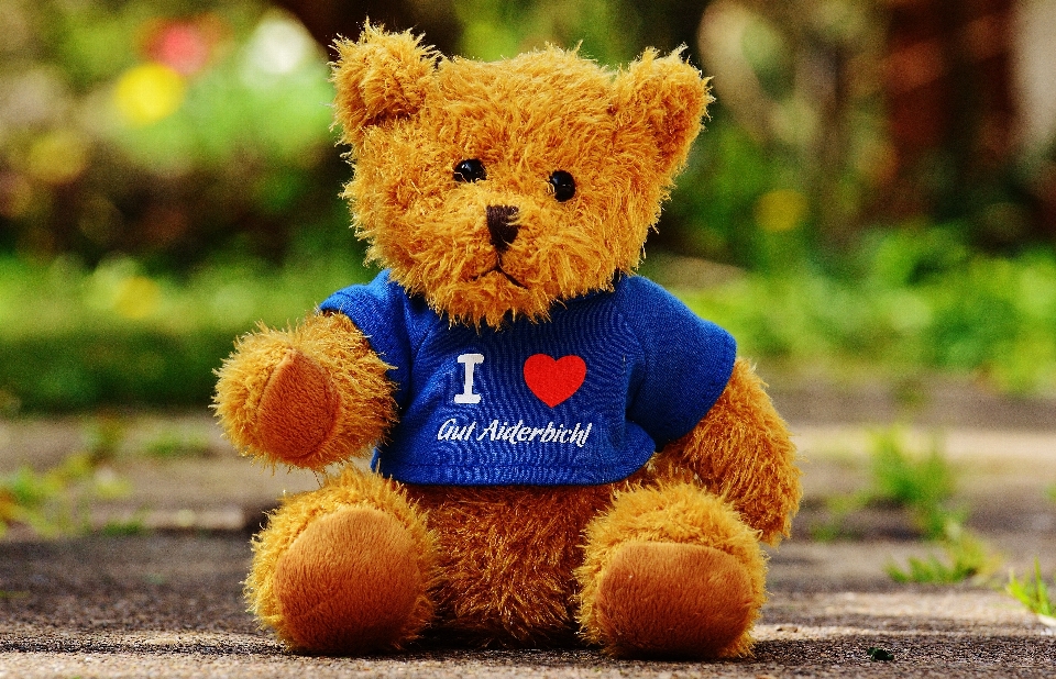 Sweet cute bear toy