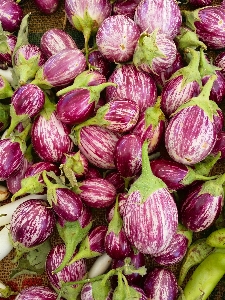 植物 花 紫 食べ物 写真