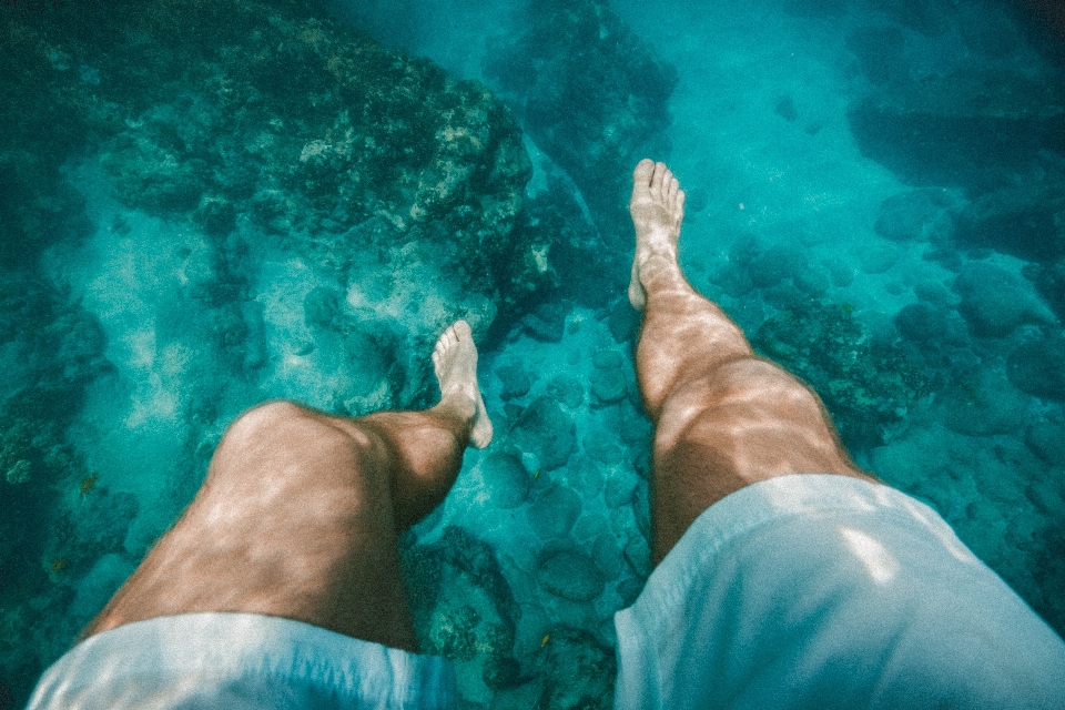 Mare acqua oceano immersione