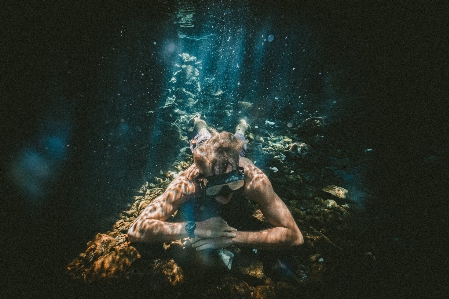 Foto água embaixo da agua escuridão
 organismo