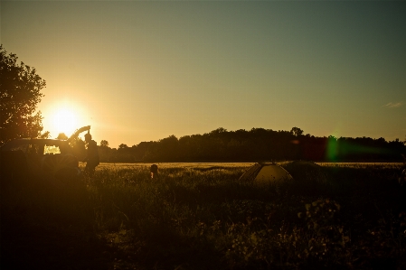 Landscape tree grass horizon Photo