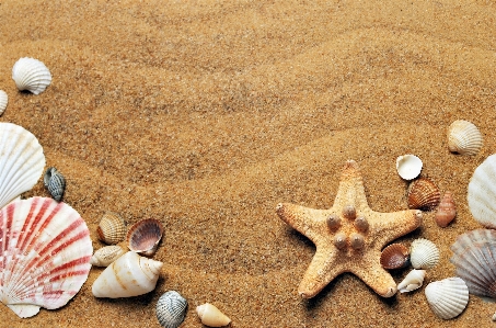 Beach sea coast water Photo