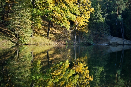 Landscape tree water nature Photo