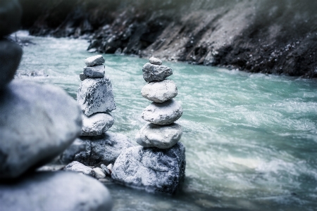 風景 海 木 水 写真