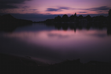 Landscape tree water nature Photo