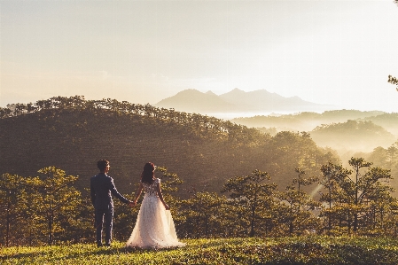 Foto Lanskap pohon rumput gunung