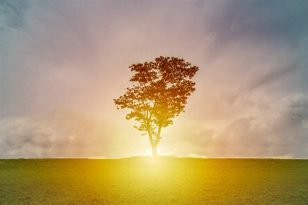 Foto Paisaje árbol naturaleza horizonte