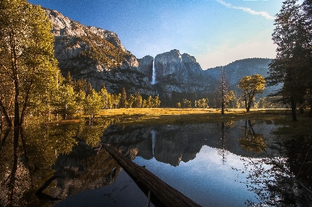 Foto Paisagem árvore água natureza