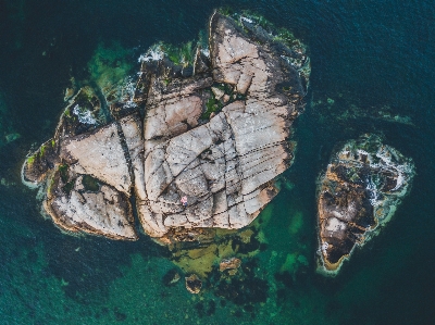 水 rock リーフ
 生命体 写真