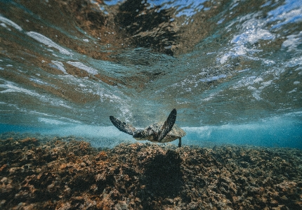 海 水 rock 海洋 写真