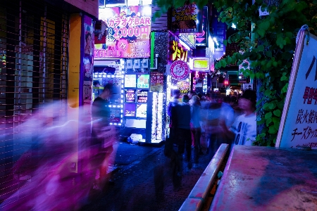 Tree light street night Photo