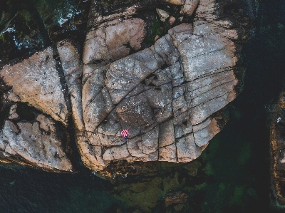 Tree water rock formation Photo