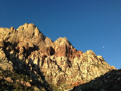 Landscape tree rock wilderness Photo