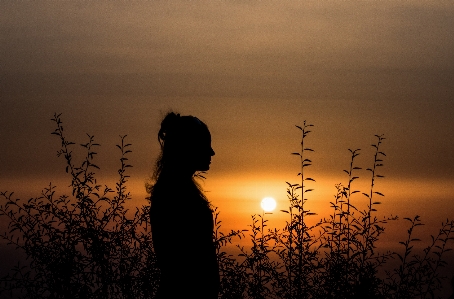 Foto Albero ramo silhouette nube