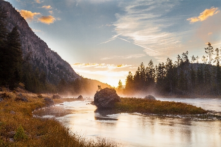 Landscape tree water nature Photo