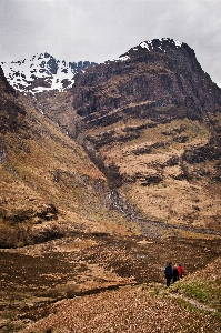 Landschaft baum rock wildnis
 Foto