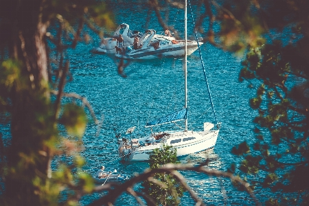 Foto Albero acqua barca riflessione