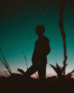 Tree silhouette sky night Photo