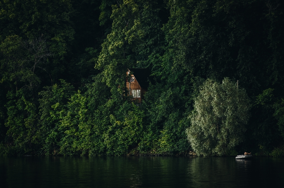 Paisagem árvore água natureza