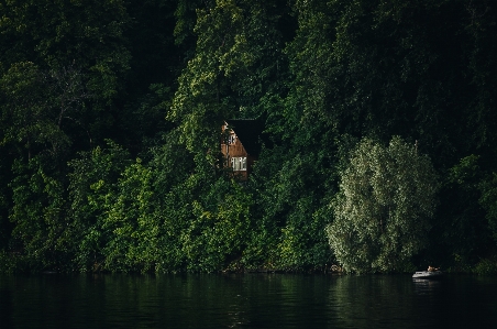 Landscape tree water nature Photo