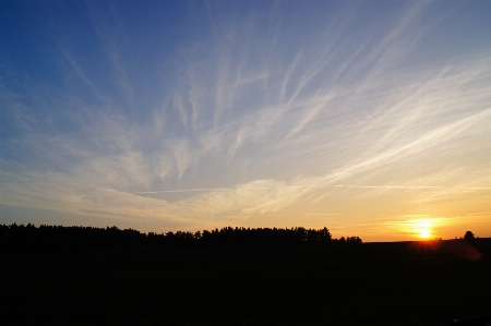 Landscape tree horizon cloud Photo