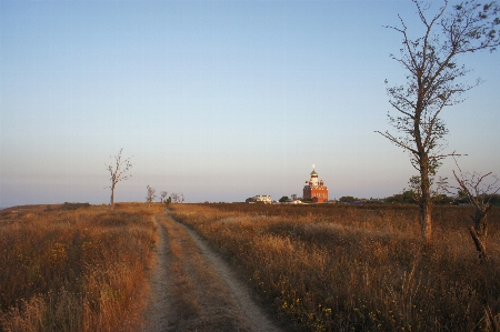 Landscape tree grass horizon Photo