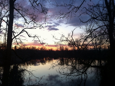 Landscape tree water nature Photo