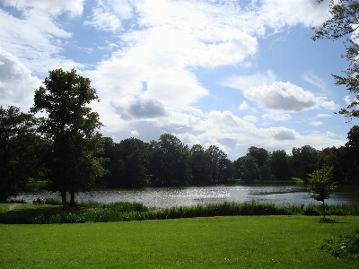 Landscape tree water nature Photo