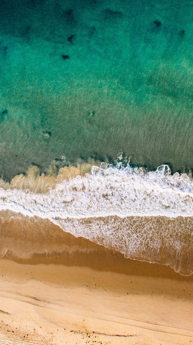 Plaża morze wybrzeże woda